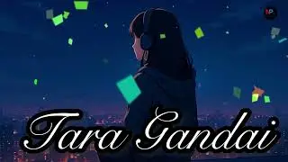 Tara Gandai | Romantic Tragedy Song @gvibestudionepal 