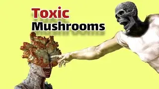 7 deadliest mushrooms that you should know!