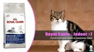 Корм для пожилых домашних кошек &middot; Royal Canin Indoor +7