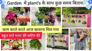 कुछ काम Stress  कम करने वाले होते हैं | Plants Pinching & Trimming | Plants Care