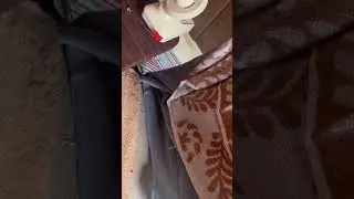 Watch Me Clean My Window Grooves With This Awesome Small Gap Cleaning Brush