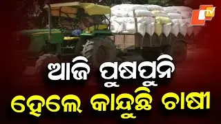 Pushpuni Festival Turns Bitter: Farmers Cry as Paddy Remains Unsold in Western Odisha