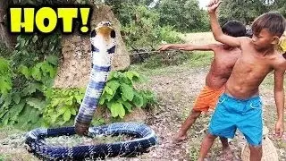 Amazing Children Catch Snake Using Bamb Hand Children Find Snake  in Cambodia