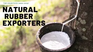 Top Countries by Natural Rubber Export