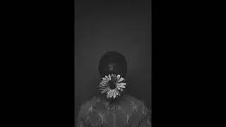 Zamdane x No Drums Type Beat 