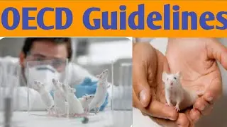 OECD guidelines of Toxicity Study| OECD 420| Pre PhD Exam #oecd #oecd420 #toxicitystudy