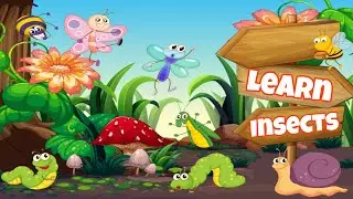 Learn About Insects for Kids | Fun and Educational Bug Exploration with JD's Learning Crew
