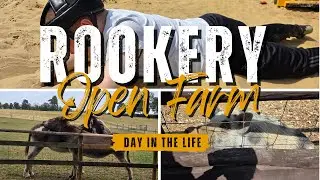 Rookery Open Farm