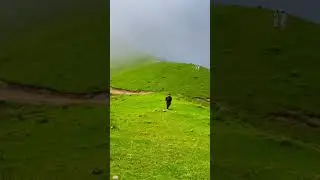 Upper Dir. PAKISTAN