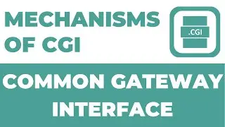 Mechanisms of Common Gateway Interface | CGI Complete Course.