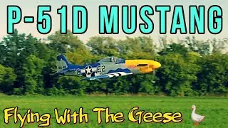 P-51D Mustang...Flying With The Geese