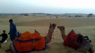 Guided Motorcycle Tour in India to Explore Rajasthan