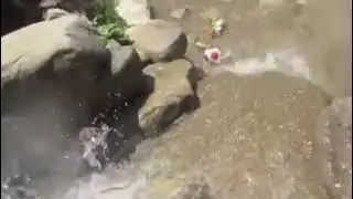 Toad and Yoshi go Swimming