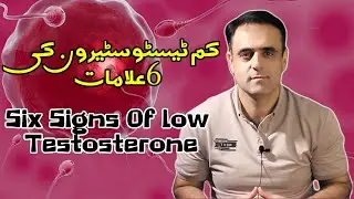 Low Testosterone Six Reasons || Pharmacist Diary || Urdu || हिन्दी