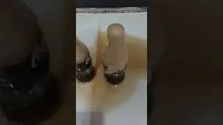 satisfying coca cola vs. gumball mentos #shorts