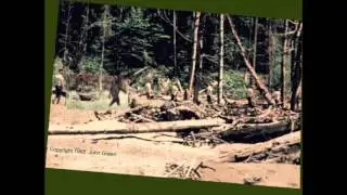 Patterson film comparison with John Green's McClarin film