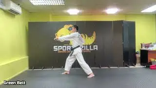 Green Belt Pattern | Singapore Taekwondo Tutorial