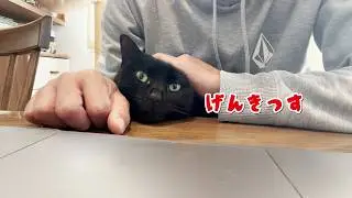 小太郎、あれから元気でやっております