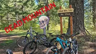 Dead Mountain | Oakridge, OR |