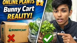 Low-Tech Aquarium Plants for Beginners | Bunnycart Unboxing & Plants Review #plants #lowtechtank