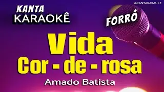 🎤 Karaokê VIDA COR DE ROSA  forró  Amado Batista
