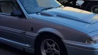 Holden VL Walkinshaw - Paint Protection
