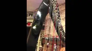 Resonance Harps NEVA 36