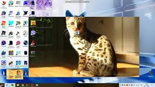 running memz clean (safe memz version by leurak)