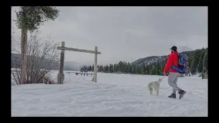 -20C Solo winter camping with my pup in Idaho