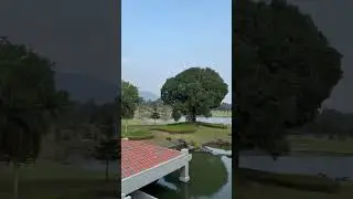 golf course view#shortsfeed #trending #shortvideo #shorts #nature #views #weather #youtube #love