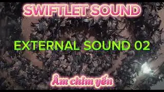 Swiftlet sound original - external sound 02 - &Acirc;m chim yến 02