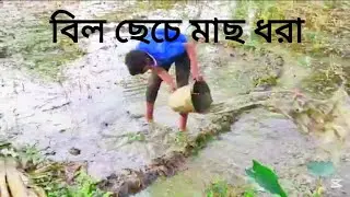 বিল ছেচে মাছ ধরা#new hand fishing 