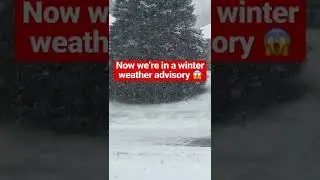 Mid-April snow ❄️
