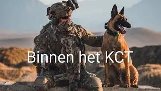 Het korps commandotroepen