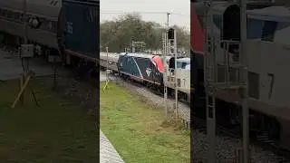 Fast Amtrak!  Florida Trains, JawTooth shorts