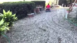 Leo drift