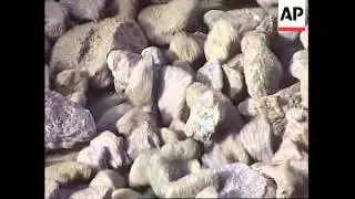 AFRICA: TANZANITE RARE GEMSTONES