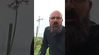 Je teste ma terre avant de planter . Analyse du sol et plantation de fraisiers, choux et laitues