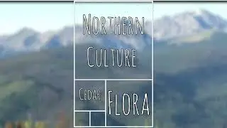 Northern Culture-Salal/Cedar