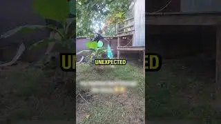 Катастрофа в бассейне.. 😱💧