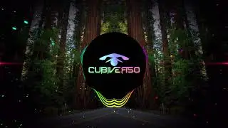 Javi Torres ft. Bellam Shine - Come With Me (Danny Costta Remix)