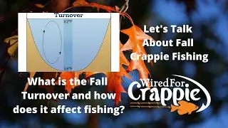 What is Fall Turnover