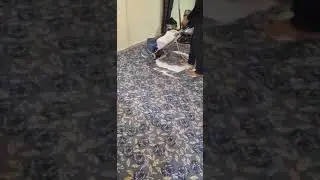 Carpet Shampoo Cleaning Services #Uaecleaning #deepcleaninguae #alhayacleaning