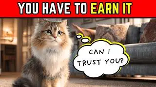 20 Ways Cats Test If You&rsquo;re Worth Trusting 👀