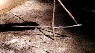 Tierfalle : Dreipunkt Schlagfalle (Viererfalle)