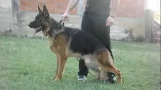 DSCF0267