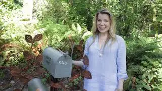 See what's inside Bainbridge Island's own Kindred Spirit Mailbox in the woods