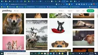Pixabay for Sounds or Images and adding to Wick