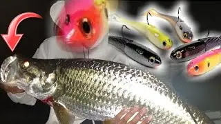 Snook and Tarpon Fishing in Miami Florida with Spooltek Lures ! #spooltek #tarpon #2020