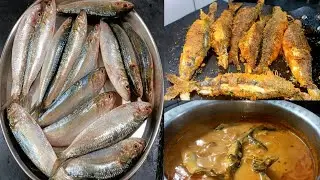 कोकणी पद्धतीने तारली मासा रस्सा आणि फ्राय |Kokani style tarli fish curry & tarli fish fry|Tarli fish